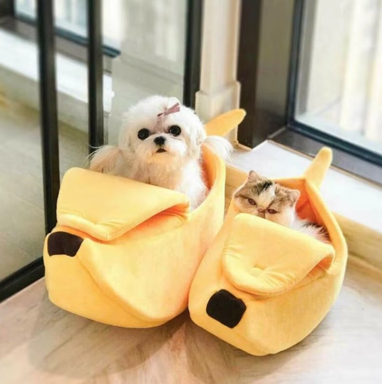 A small white dog and a cat each sitting in a yellow banana bed by a window