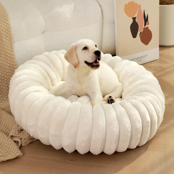A pale puppy sitting in the white ribbed plush donut bed