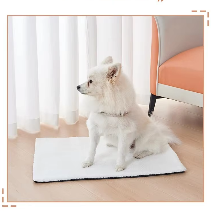 White spitz dog sitting on a white version of the self-warming pet mat