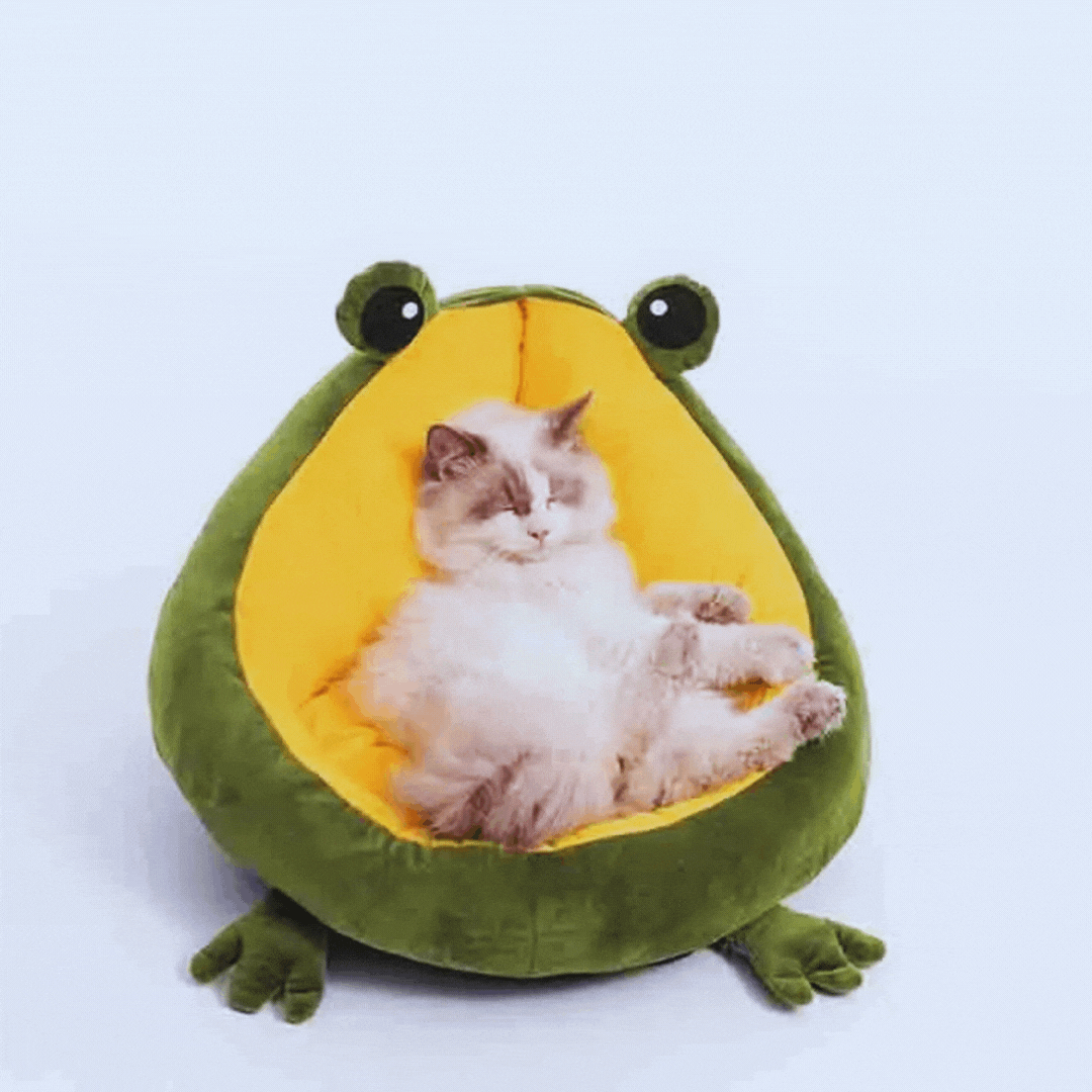 A fluffy cat sitting in the green frog-shaped bed