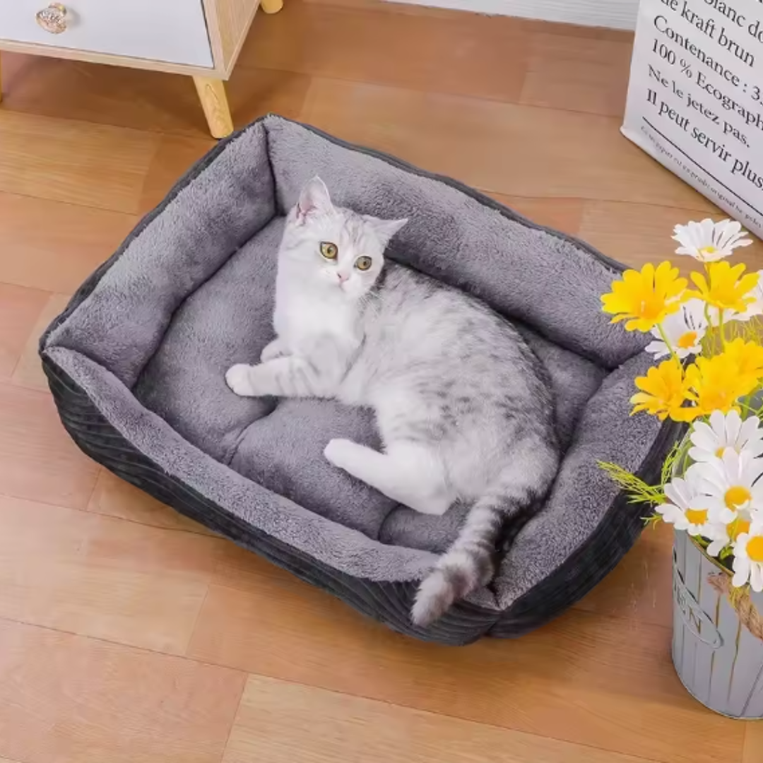 A silver tabby cat lying in the dark grey rectangular dog bed with a grey plush lining