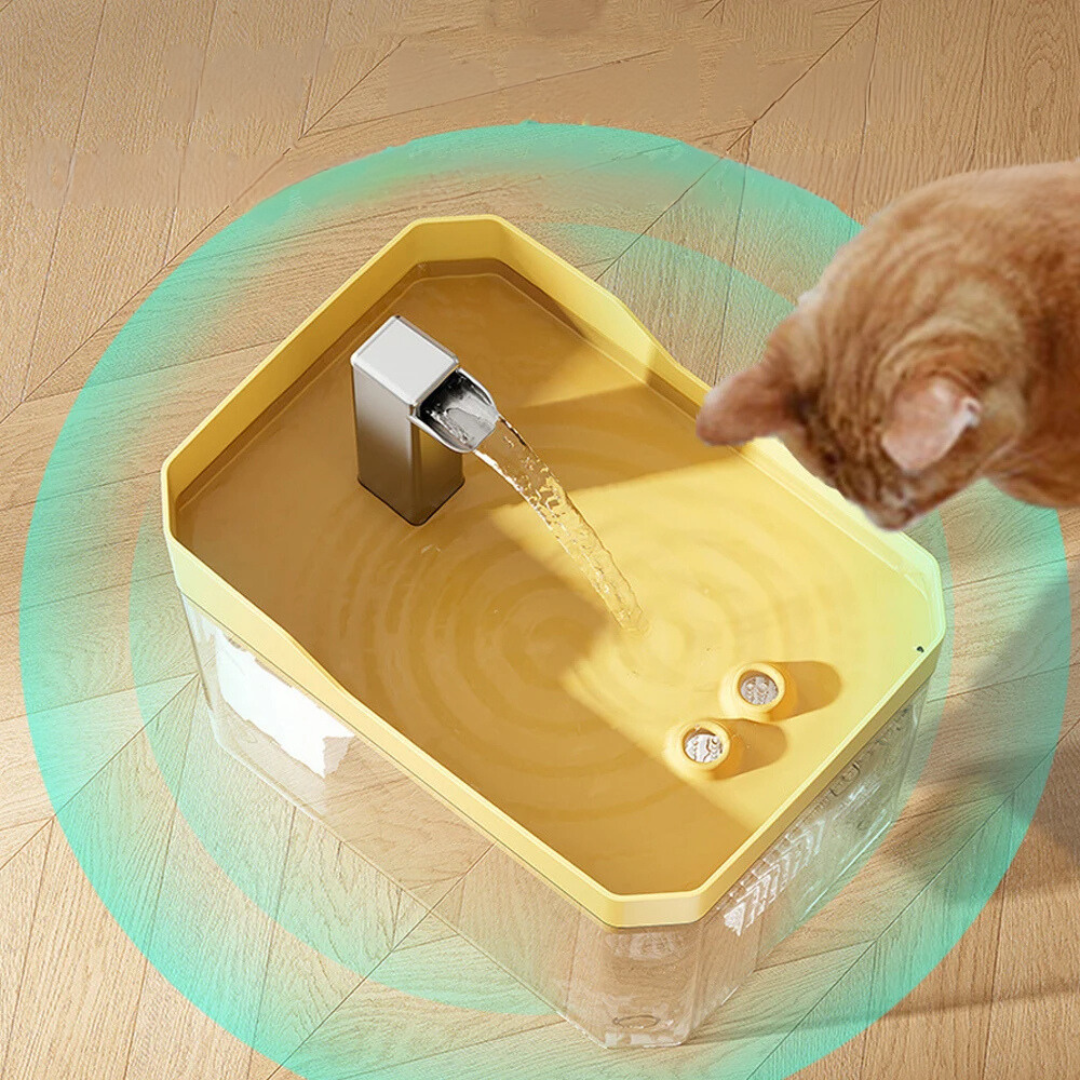 Top view of the yellow tray with the spout and a cat drinking