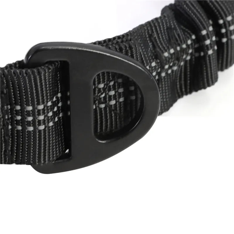 Close-up of the black triangular D-ring on the webbing