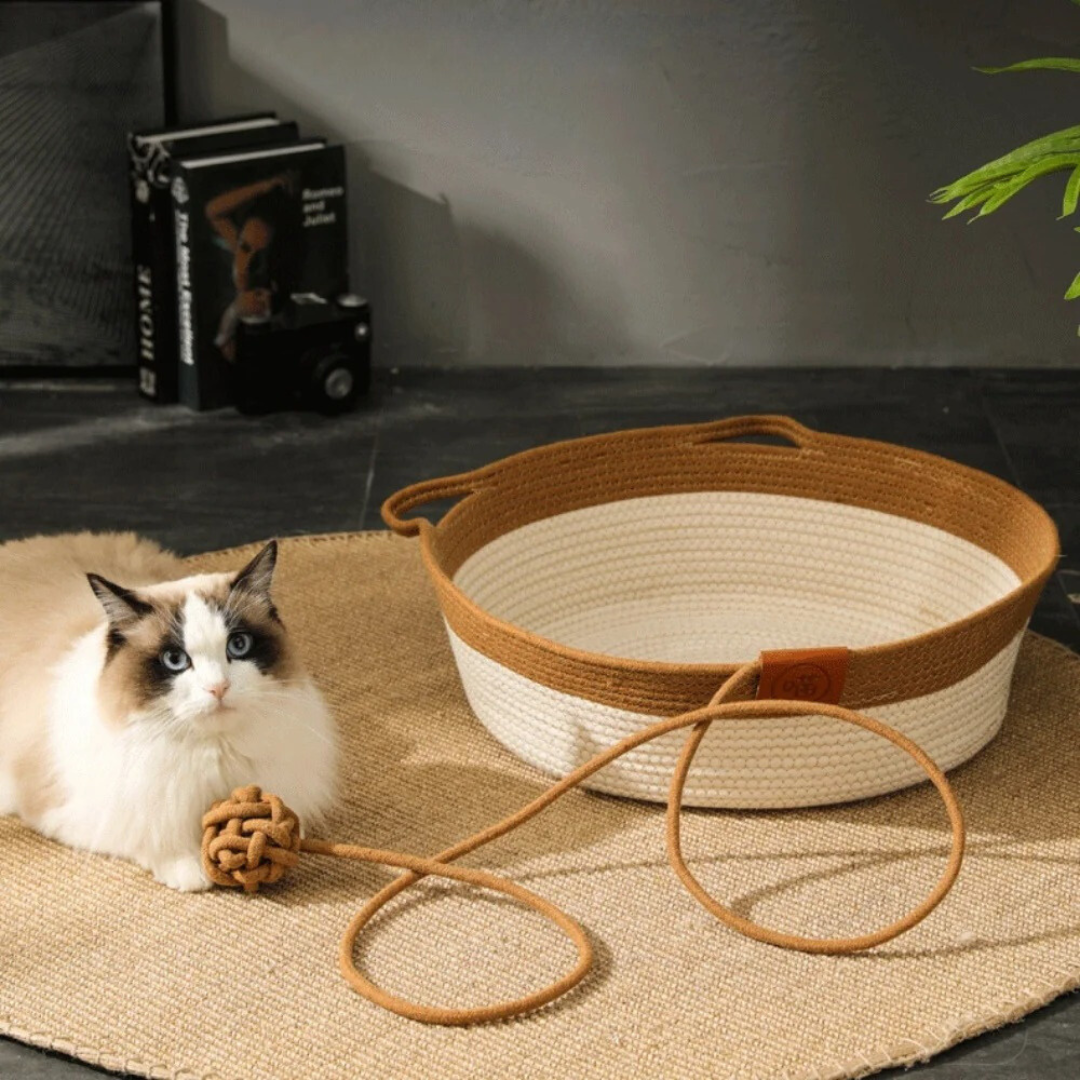 A long-haired cat beside the cotton rope basket bed on a wooden floor