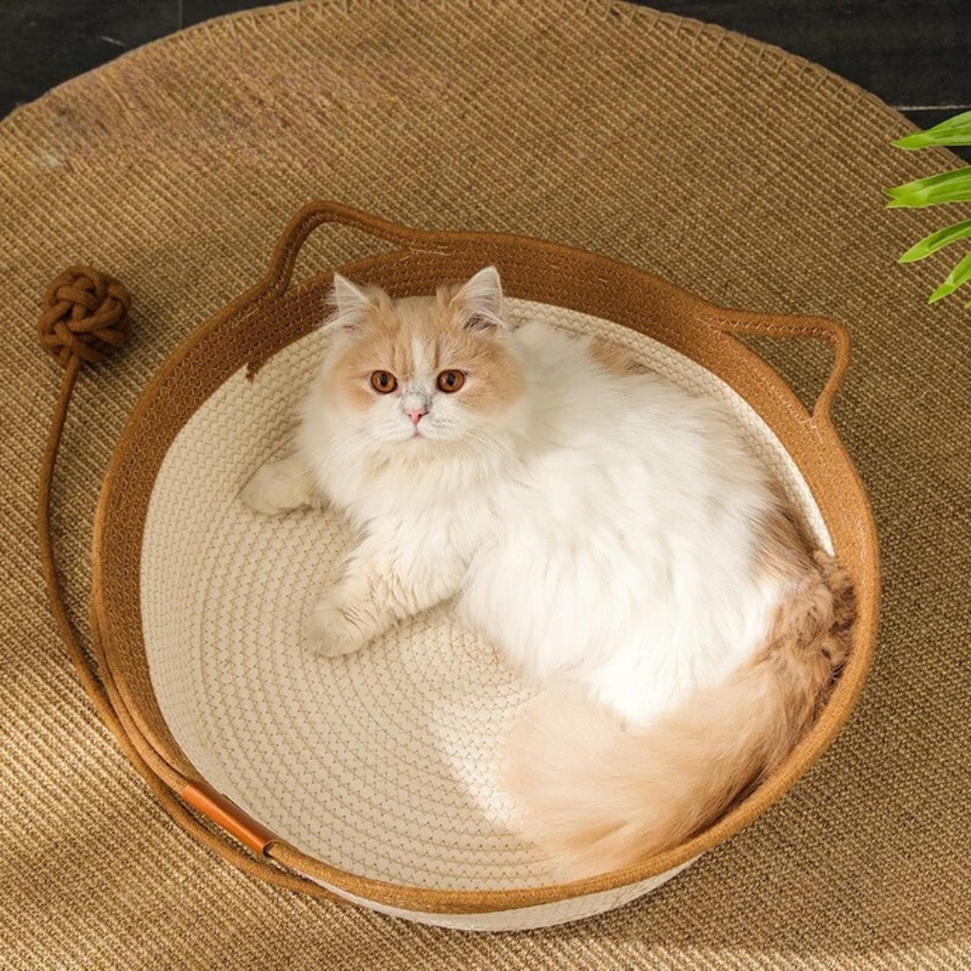 A cat lying in the cotton rope basket bed, a rope ball hanging from its rim