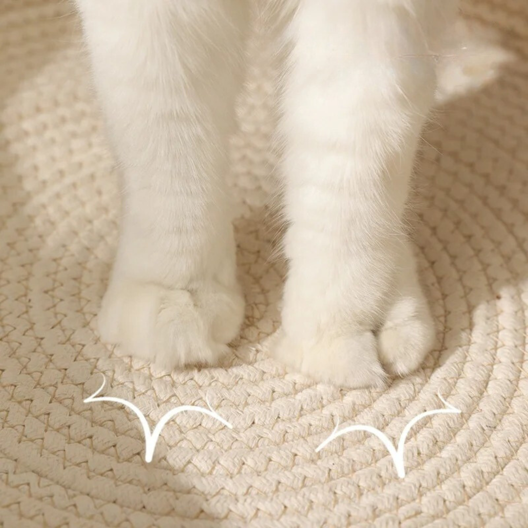 A cat's paws resting on the woven cotton rope base