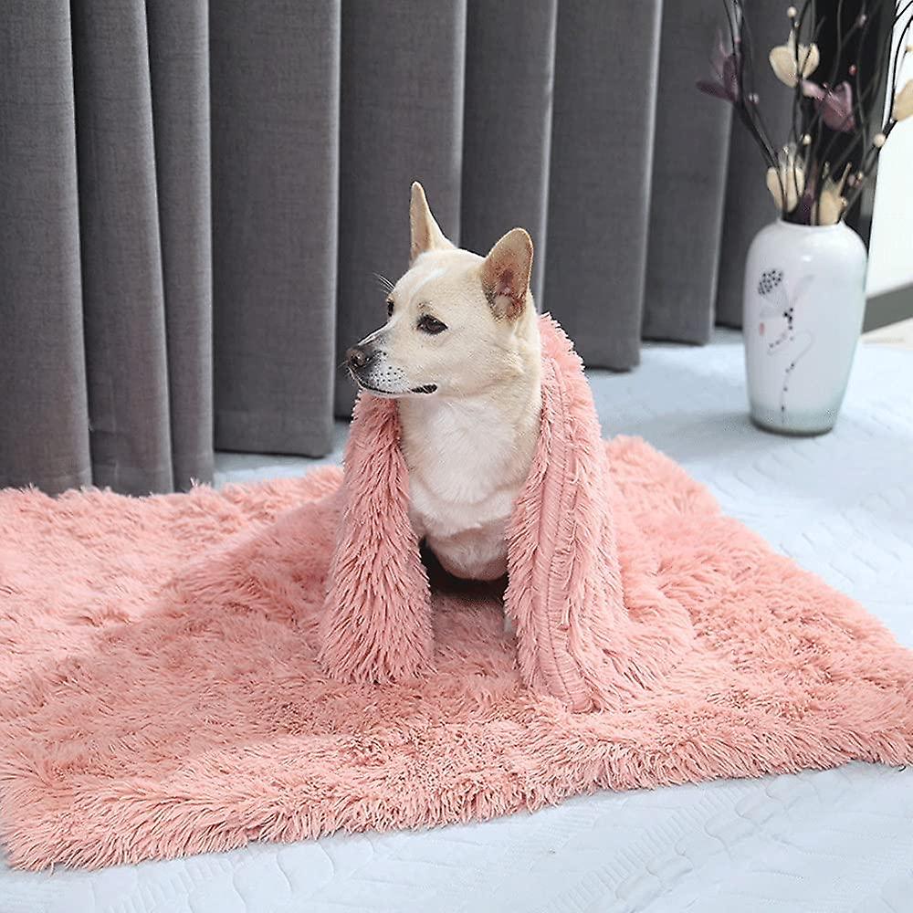 A cream dog sitting wrapped in a salmon-pink long-pile plush blanket