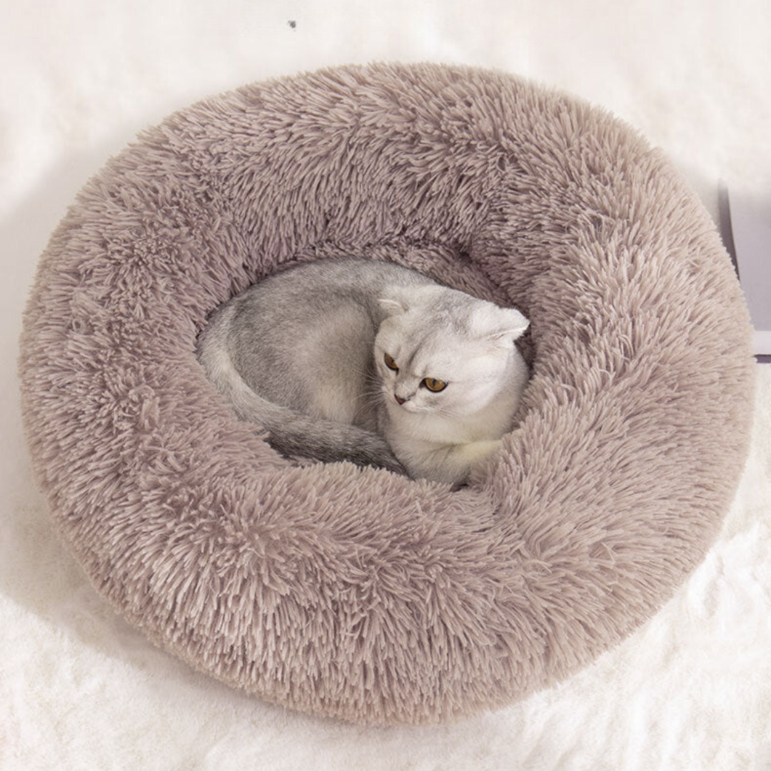 A cat curled up in a taupe fluffy donut bed, a colour not offered