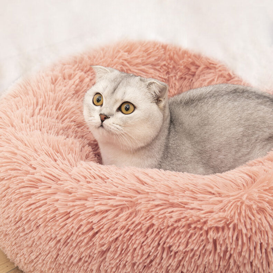 A cat resting in a pink fluffy donut bed