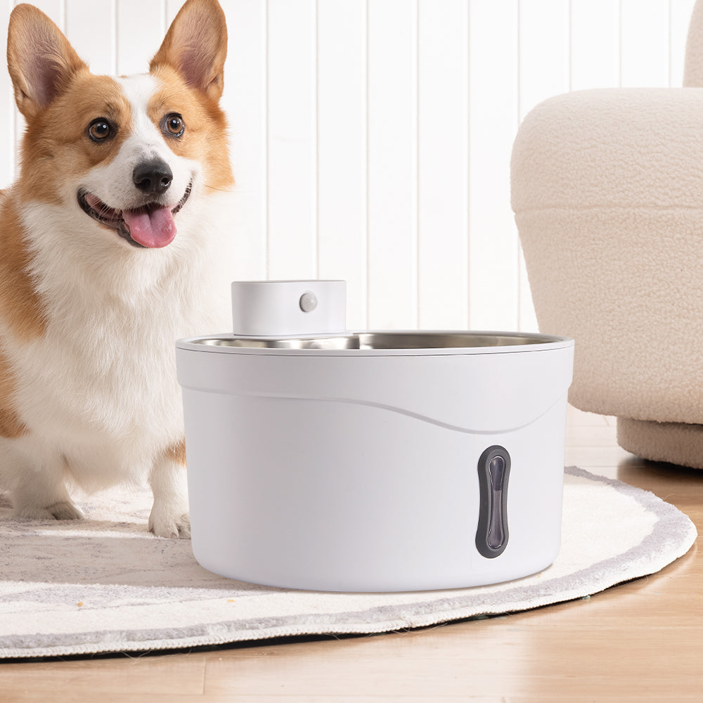 A corgi sitting behind the white pet water fountain on a round rug