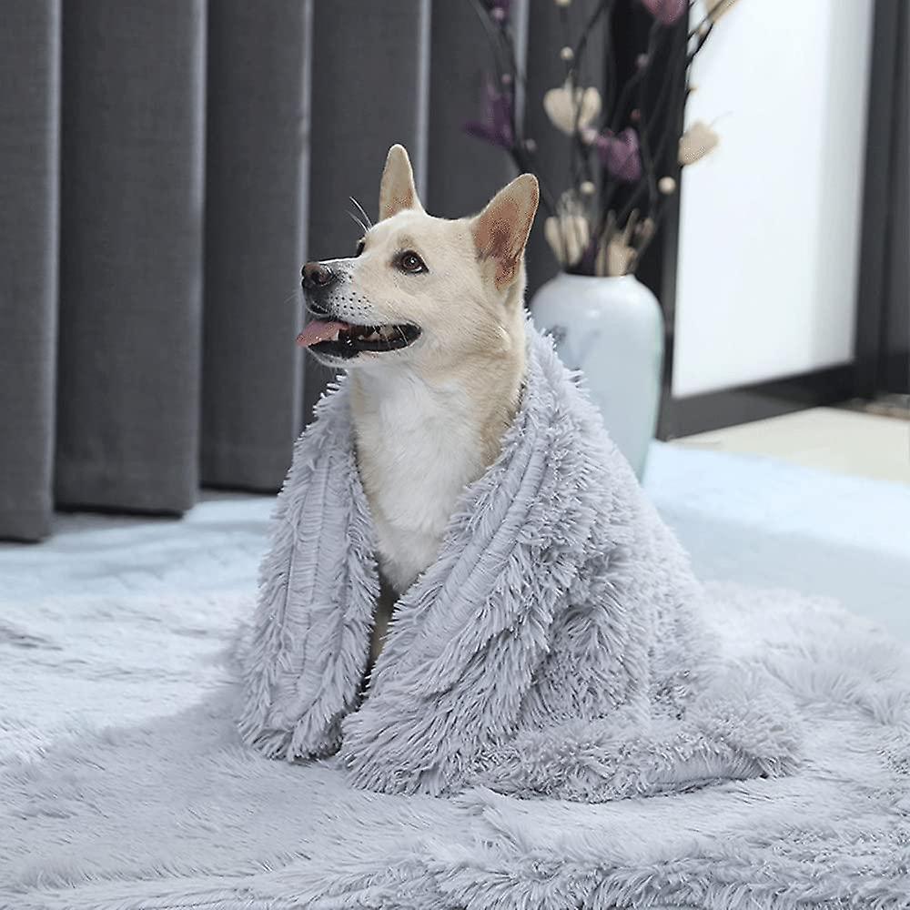 A cream dog sitting wrapped in a light grey long-pile plush blanket