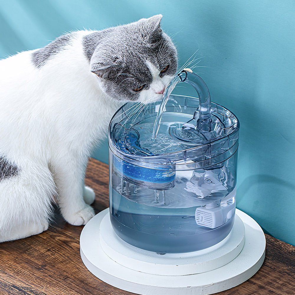 A grey and white cat drinking from the clear water fountain, standing on a white round stand
