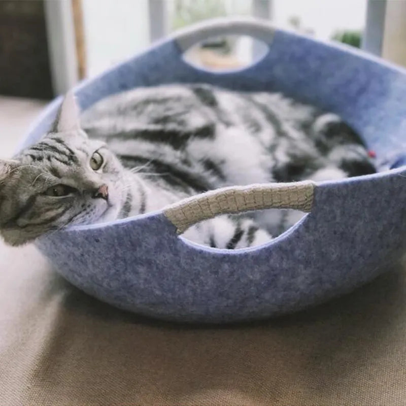Silver tabby cat lying in the blue felt cat bed basket, seen past a rope-wrapped handle