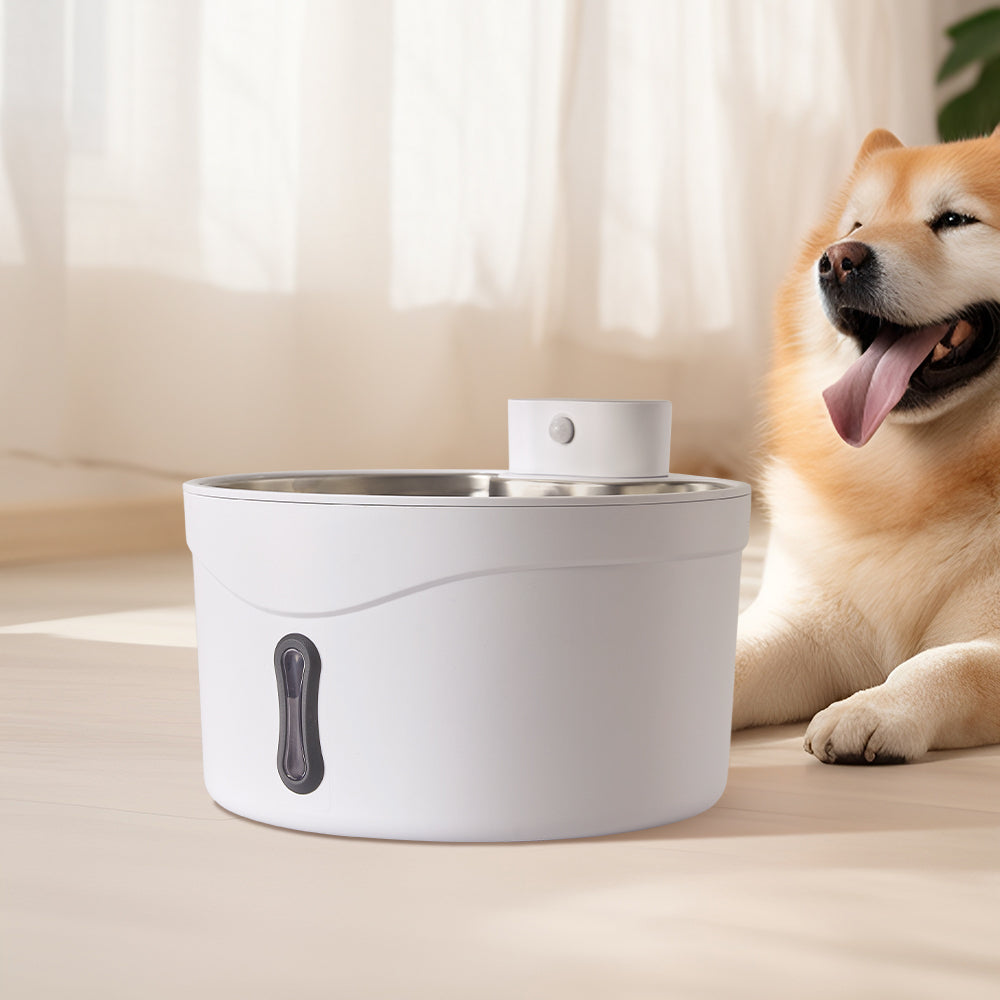 White pet water fountain on a wooden floor with a ginger dog lying behind it
