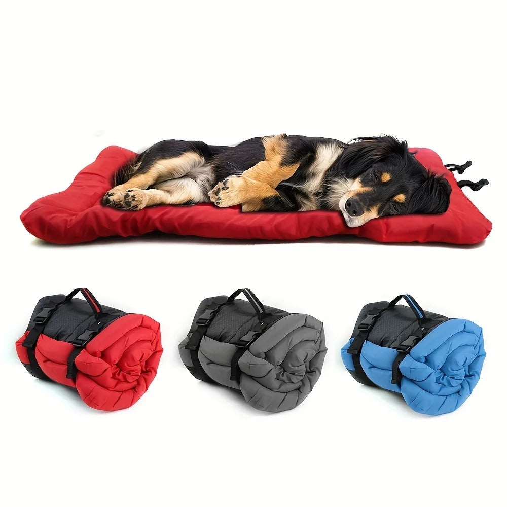A dog asleep on the red travel bed, with the bed rolled up in red, grey and blue