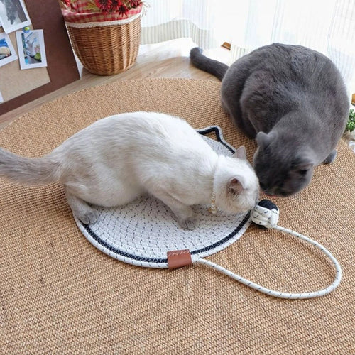 A white cat and a grey cat playing with the ball toy of the white rope scratching mat
