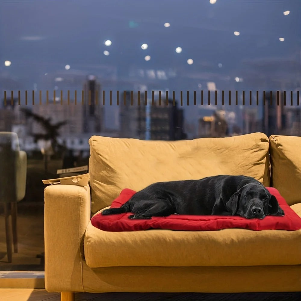 A black dog lying on the red travel bed on a mustard sofa