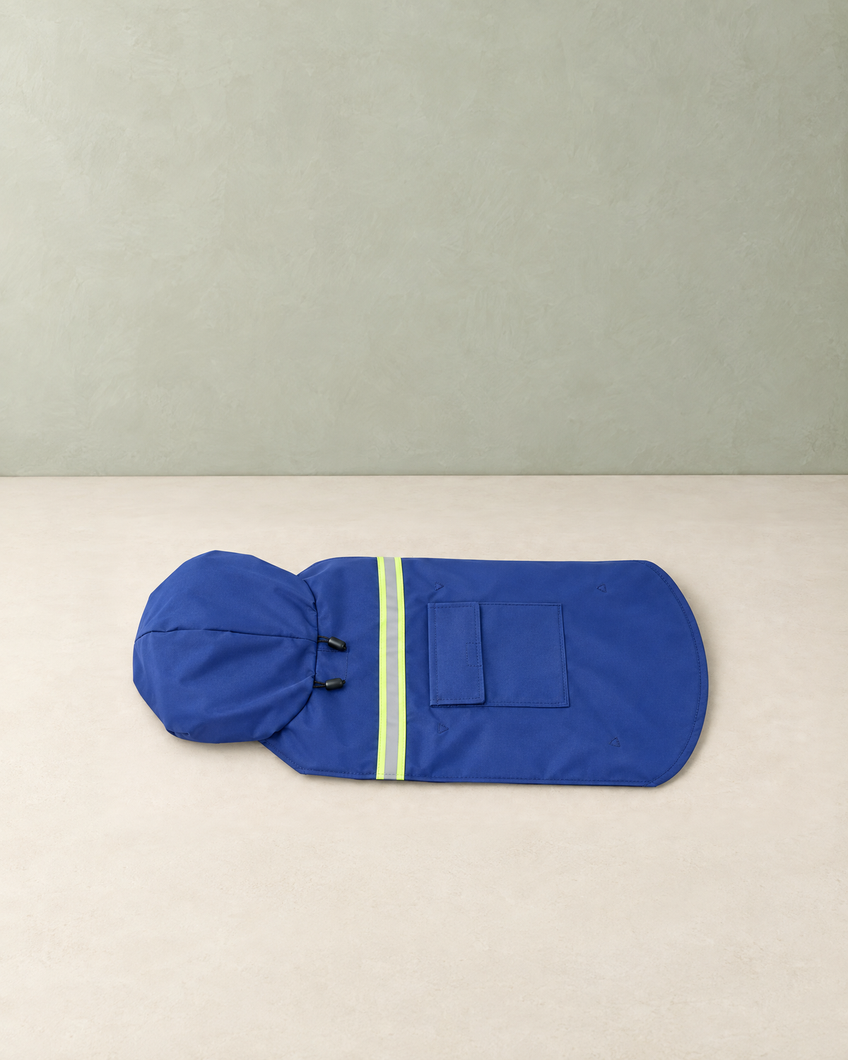 Royal blue hooded dog raincoat with a reflective band and a flap pocket, laid flat on a cream floor against a pale sage wall