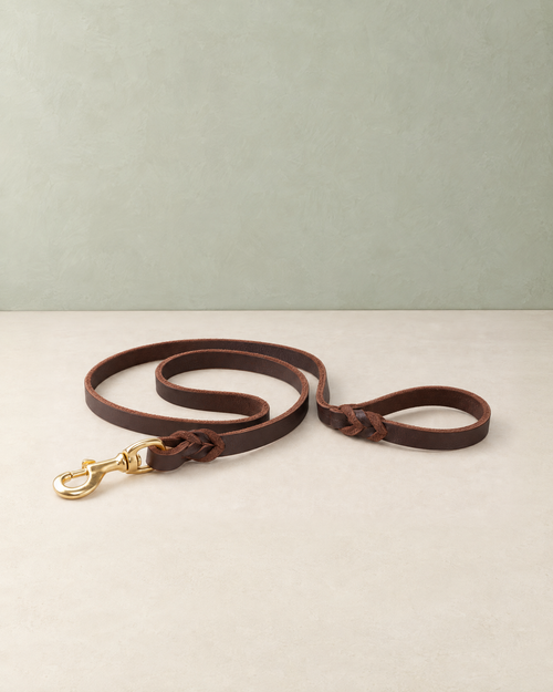 Brown braided leather dog lead with a gold-tone snap hook, lying in loose loops on a cream floor against a pale sage wall