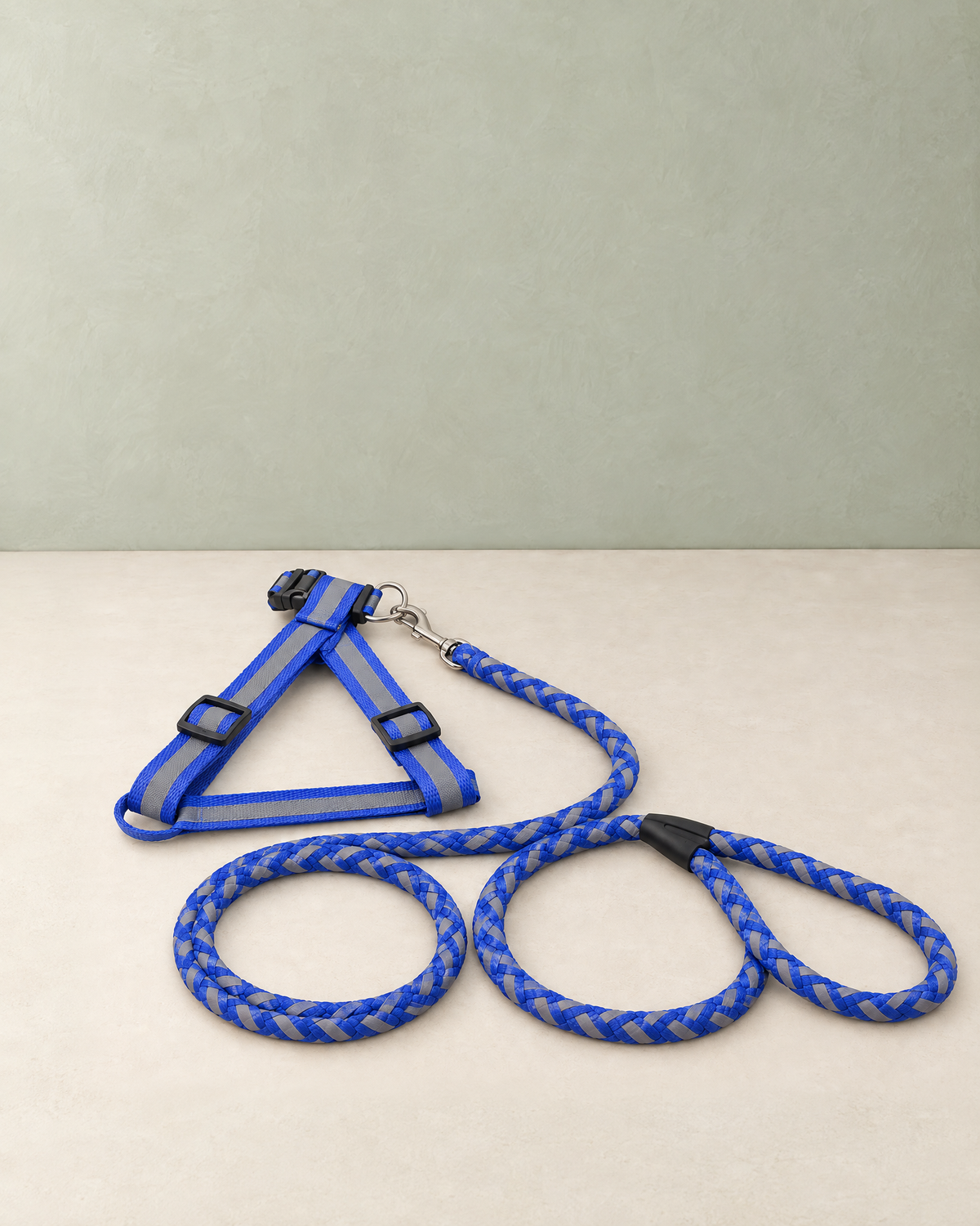 Blue reflective dog harness laid flat with the matching blue braided rope lead clipped to it, on a cream floor against a pale sage wall