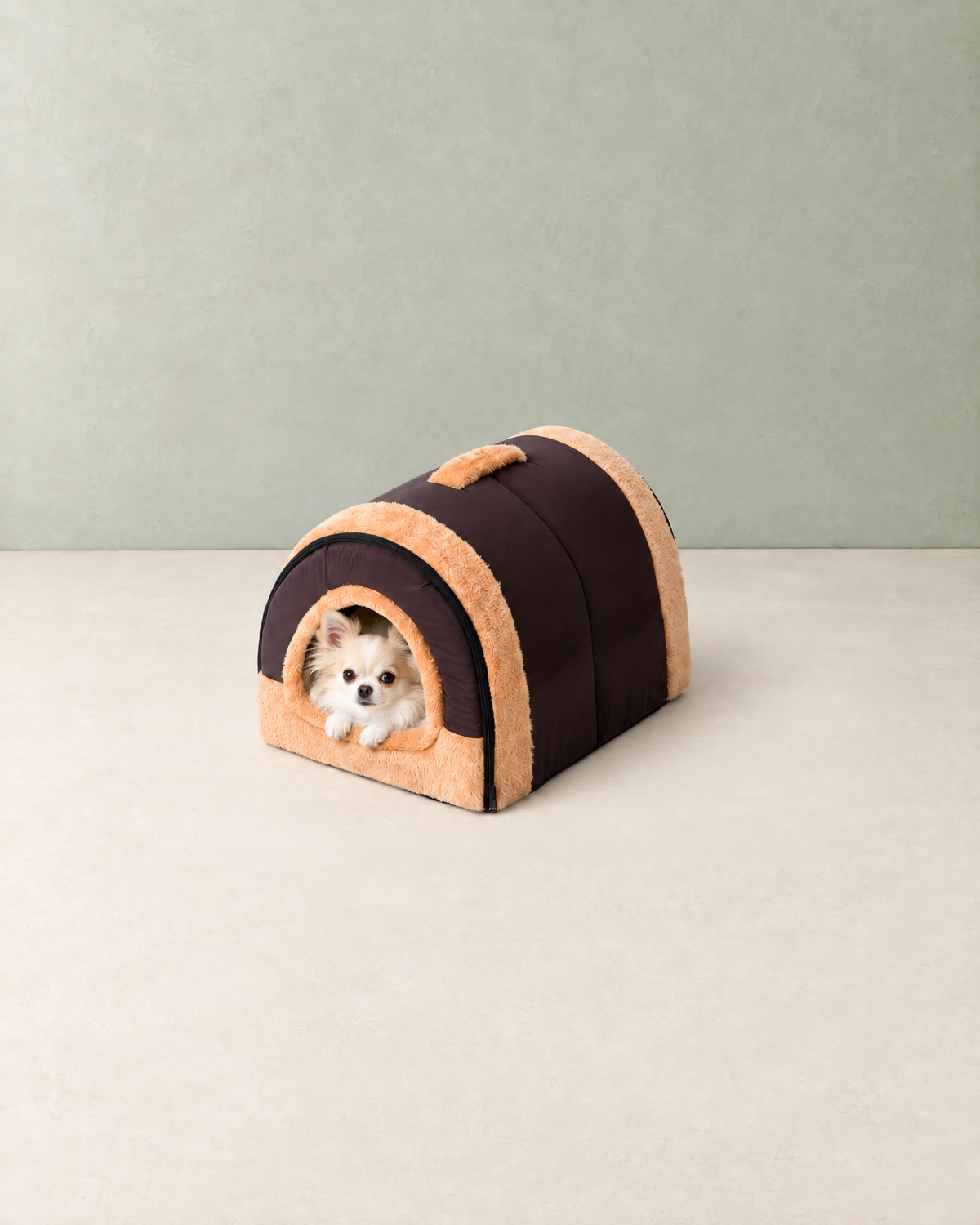 A small white and cream Chihuahua looking out of the doorway of the dark brown tunnel pet house