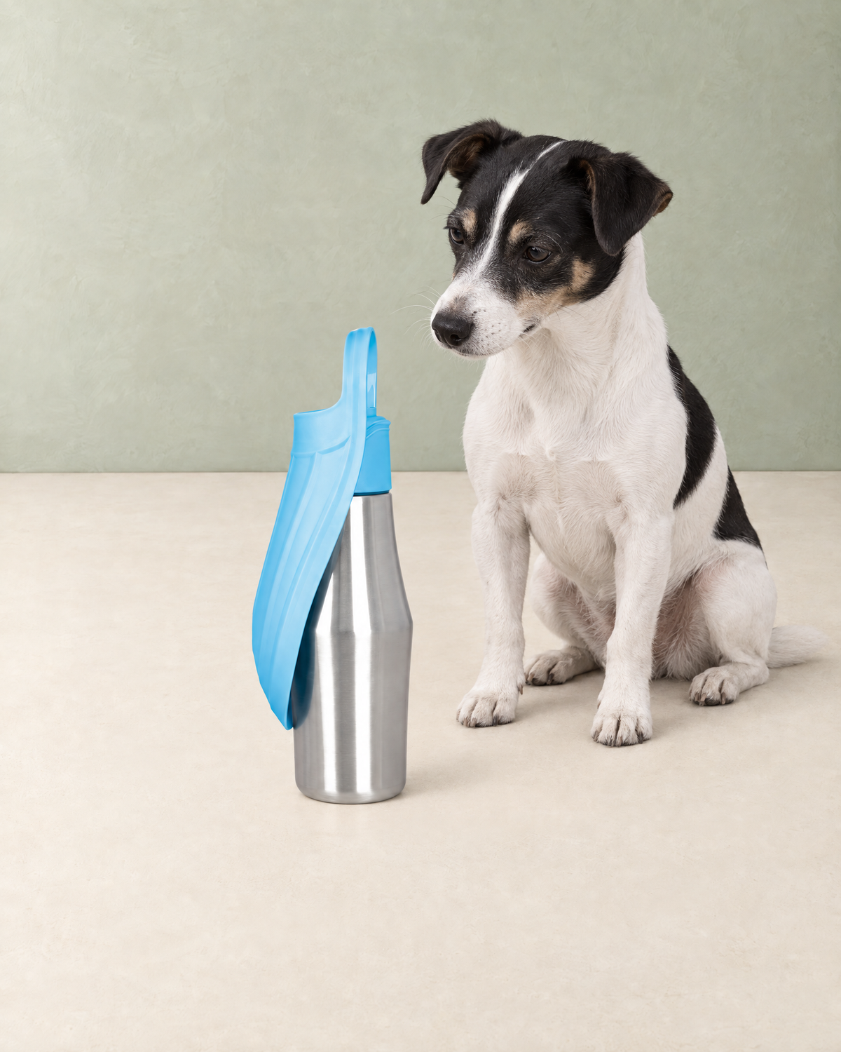 A black and white terrier sitting beside the stainless steel dog water bottle with its light blue trough folded up