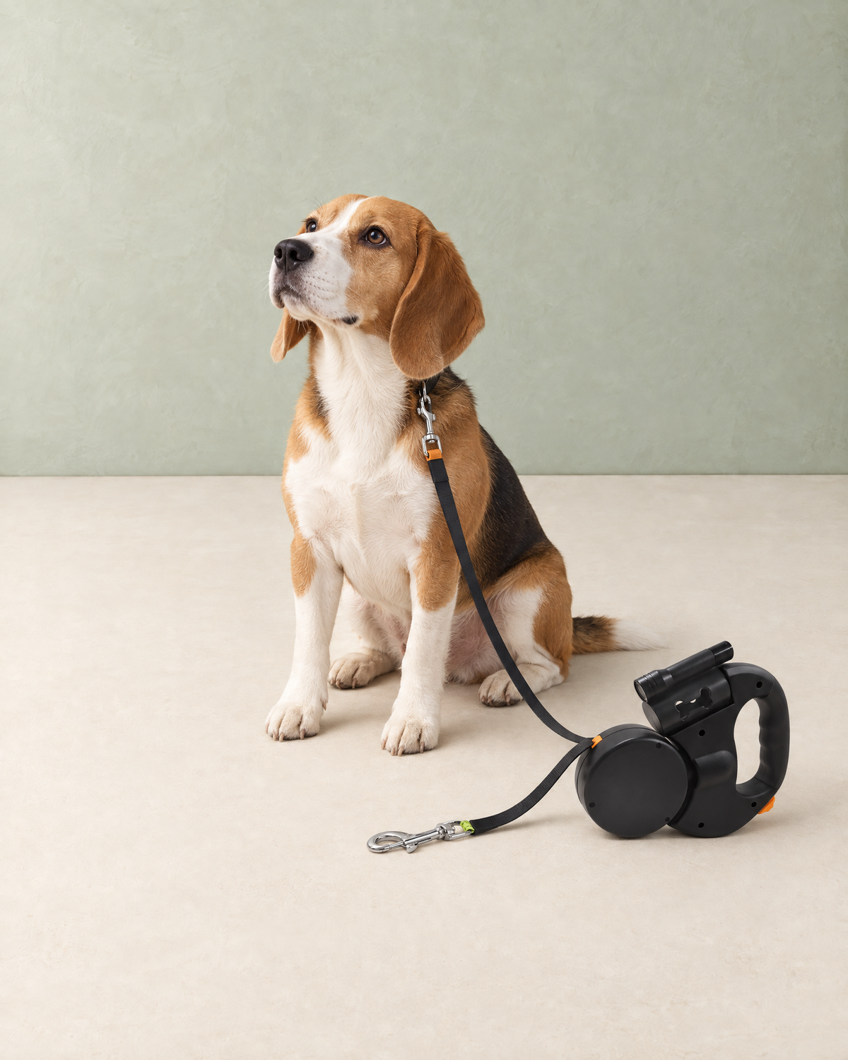 A beagle sitting on the floor clipped to one tape of the black double lead, the reel beside it