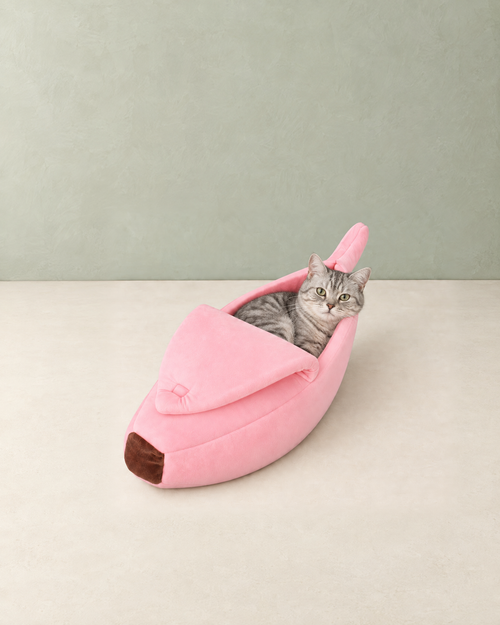A silver tabby cat lying in the pink banana cat bed behind the folded peel