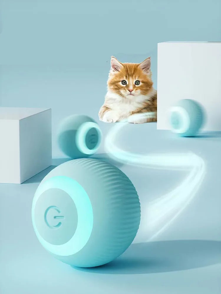 The blue ball rolling away from a kitten, with a motion trail